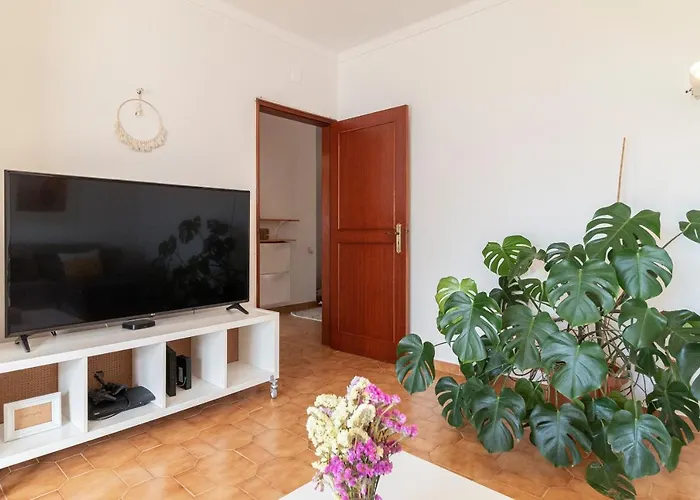 Seajay's * ラゴス